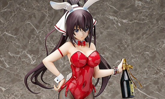 Freeing Infinite Stratos系列 篠之之箒 Bunny Ver.