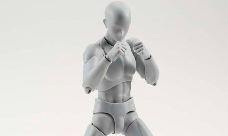 万代 S.H. Figuarts 男素体 DX Set Grey Color