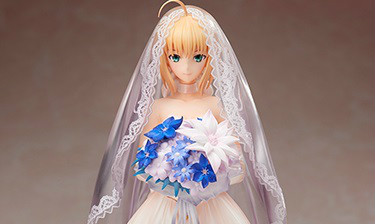 Aniplex Plus  Saber 10