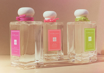 JO MALONE - 一次复刻三款最受欢迎的花香 水梨花蕾、樱花、梅花 华丽回归