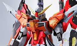 会场限定 万代 METAL BUILD 命运高达 (海涅机)