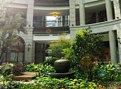 春神降临BELLAVITA  信义区首座城市花园