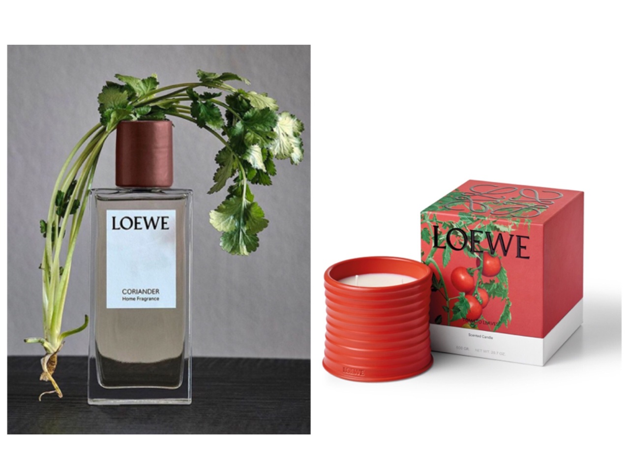 香菜控快来！LOEWE香菜喷雾、蜡烛上市 大麻味先掰掰